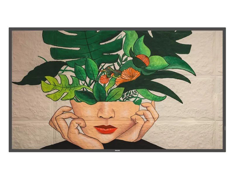 Philips D-Line  75 (75BDL4511D) image